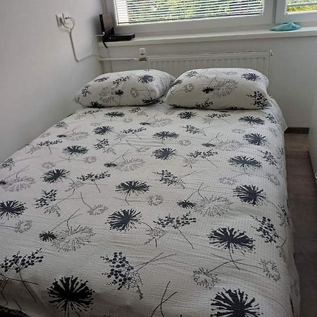 Apartma Nadja 马里博尔 外观 照片