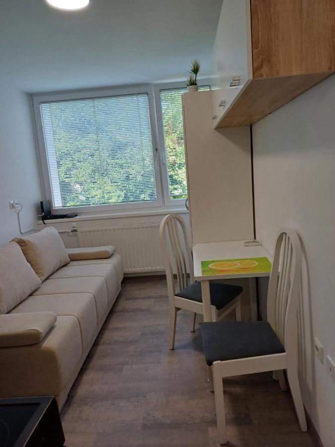 Apartma Nadja 马里博尔 外观 照片