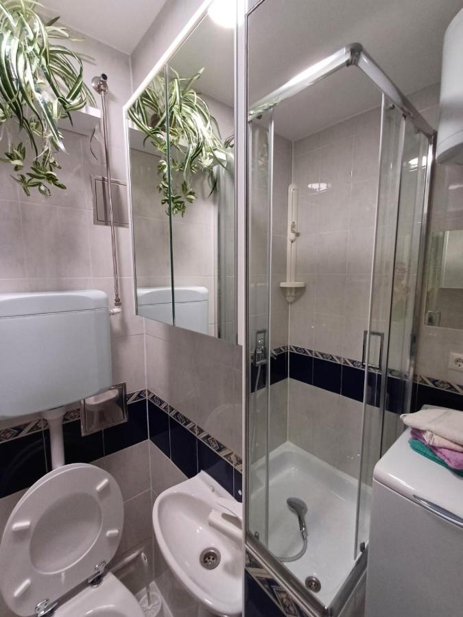 Apartma Nadja 马里博尔 外观 照片